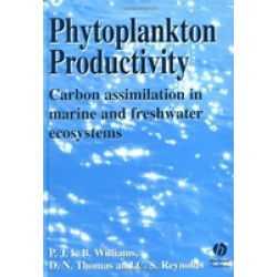 Phytoplankton Productivity