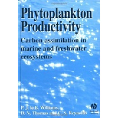 Phytoplankton Productivity