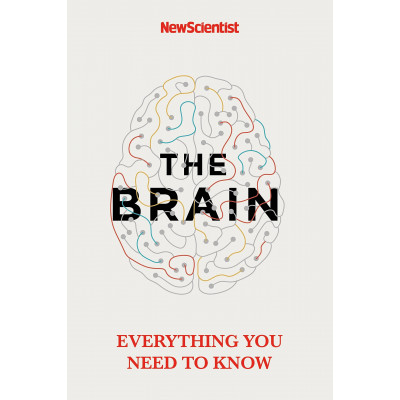 The Brain: Everything You Need to Know