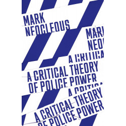 A Critical Theory of Police Power