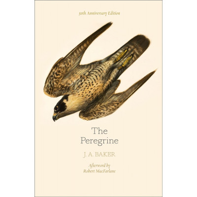 The Peregrine
