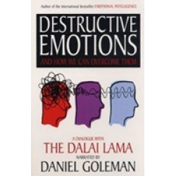 Destructive Emotions