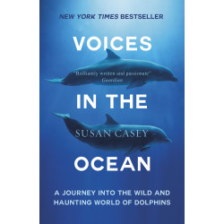 Voices In The Ocean