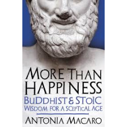 More Than Happiness