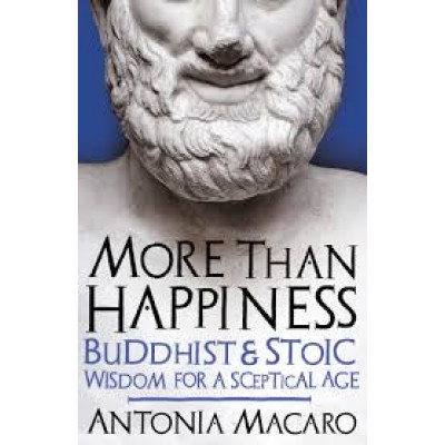 More Than Happiness