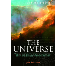 A Brief History of the Universe