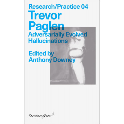 Adversarially Evolved Hallucinations