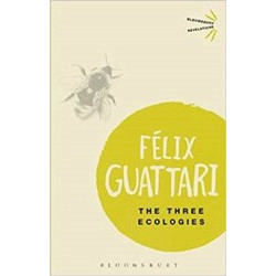 The Three Ecologies