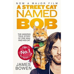 A Street Cat Named Bob
