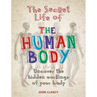 The Secret Life of the Human Body