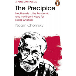 The Precipice: Neoliberalism, the Pandemic and the Urgent Need for Radical Change