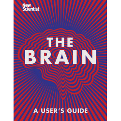 The Brain