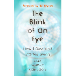 The Blink of an Eye