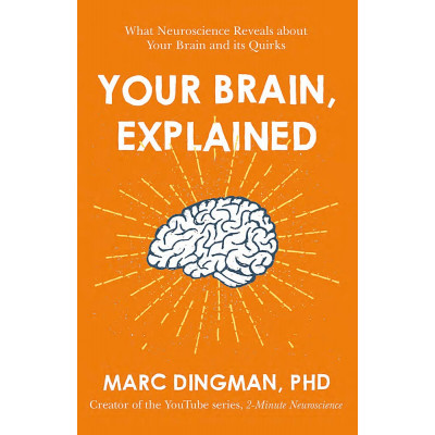 Your Brain, Explained