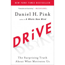 Drive: The Surprising Truth about What Motivates Us (Уценка)