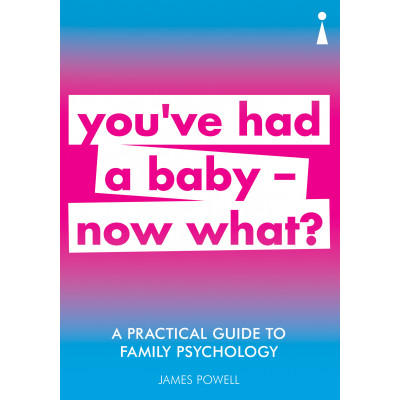 A Practical Guide to Family Psychology: You've had a baby - now what?