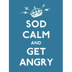 Sod Calm and Get Angry (Уценка)