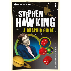 Introducing Stephen Hawking. A Graphic Guide