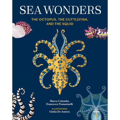 Sea Wonders: The Octopus, the Cuttlefish, and the Squid