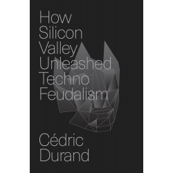 How Silicon Valley Unleashed Techno-Feudalism
