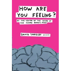 How are You Feeling? (Уценка)
