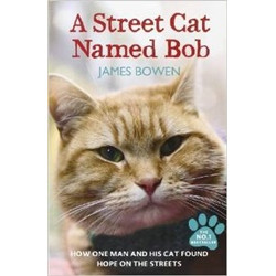 Street Cat Named Bob: How one man and his cat found hope on the streets