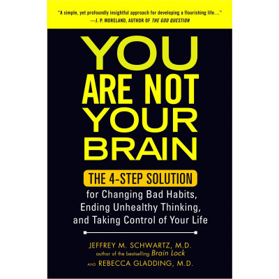 You Are Not Your Brain