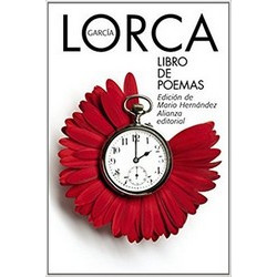 Libro de poemas