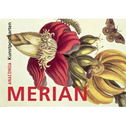 Maria Sibylla Merian