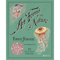 Art Forms in Nature: 22 Pull-Out Posters