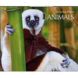 Amazing Planet: Animals