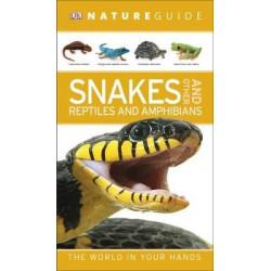 Snakes and Other Reptiles and Amphibians