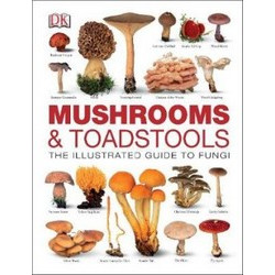 Mushrooms & Toadstools