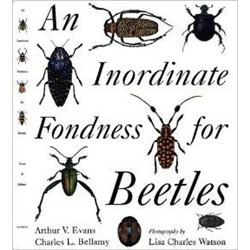 An Inordinate Fondness for Beetles