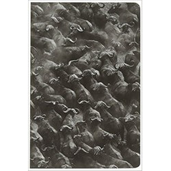 Sebastiao Salgado: Zambia Pocket Notebook