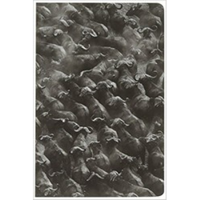 Sebastiao Salgado: Zambia Pocket Notebook