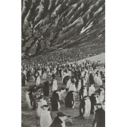 Salgado Islands Notebook