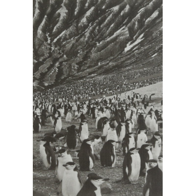 Salgado Islands Notebook