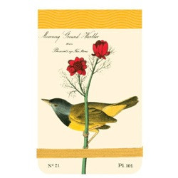 Mini Journals: Audubon Warblers