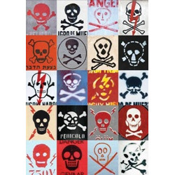 Wanderlust Skulls Flexi Journal (Уценка)