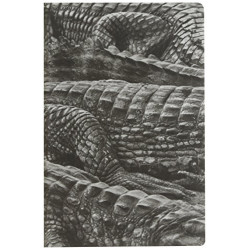 Sebastiao Salgado: Pantanal